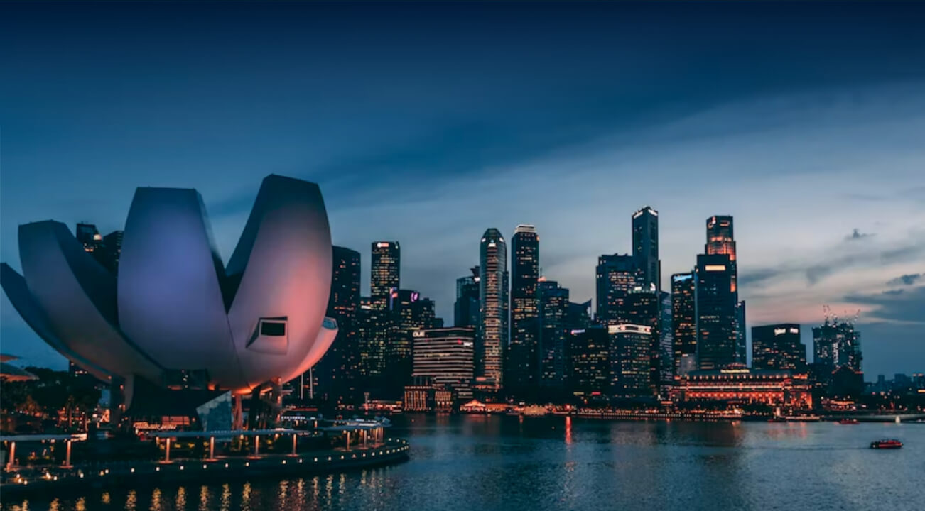 新加坡金融管理局（MAS）颁发的许可证。